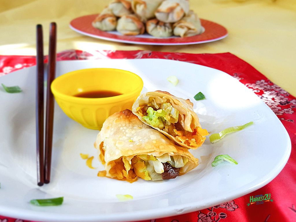 avocado and vegetable egg rolls