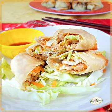 chicken and vegetable egg rolls on a plate