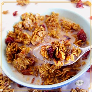 close up view of homemade chocolate cranberry granola