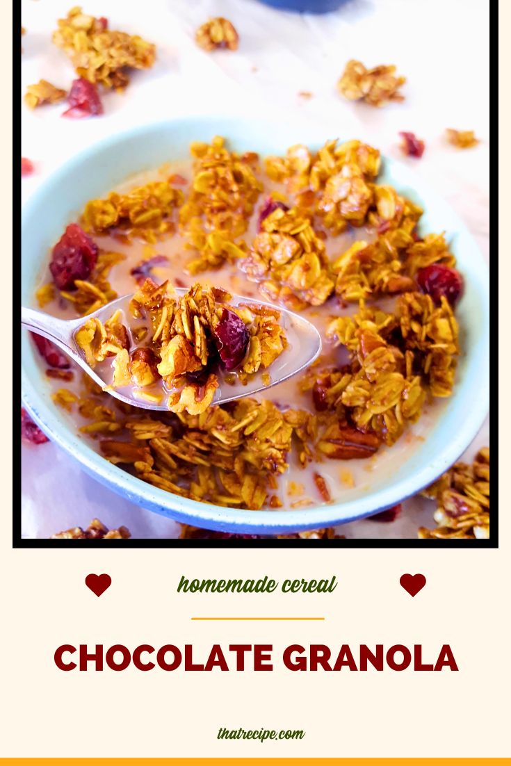 close up view of homemade chocolate cranberry granola