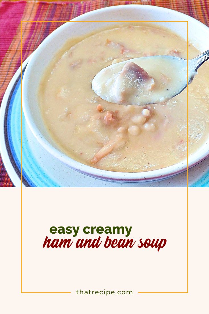 bowl of creamy ham and bean soup